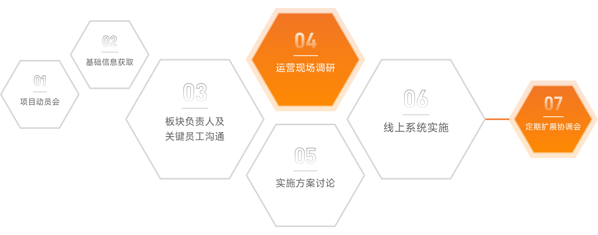 項目實施